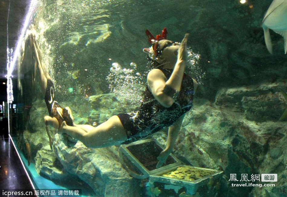 韩国水族馆上演惊艳唯美水中芭蕾
