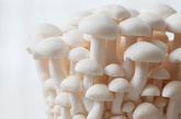 蘑菇属于益菌类食品，含有多种氨基酸和多种酶，特别是香菇中含有香菇多糖，它可抑制包括白血病在内的多种恶性肿瘤。另外，常吃蘑菇或喝蘑菇汤可提高人体的免疫功能，不易患呼吸道感染，还可净化血液中的毒素，对预防小儿白血病很有帮助。