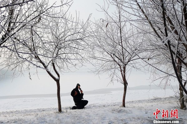 辽宁营口出现雾凇美景 引众多市民游览