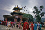 亲历尼泊尔达善节祭庙 假想天神会降临