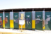 这是在肯尼亚沿途一家纪念品商店后面的厕所。虽然很简陋，但是很周到的把非洲五大动物和马赛女人的形象放在门口，非洲五大就是狮子、犀牛、大象、水牛和花豹，其中4间女性，2间男性，很人性化。