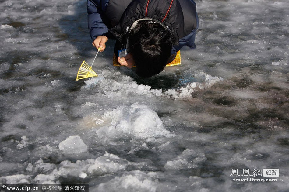 韩国华川冰上钓鱼节 百万游客来捧场