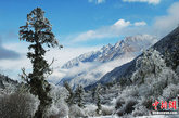 冬季的毕棚沟景区内雪峰皑皑，玉树琼枝，溪水在冰盖间上下涌动，瀑布如冰蜡高挂山崖，月牙冰川、倒沟冰川庄严肃穆，龙王海冰雪环绕、碧波荡漾。理县宣传部 供图