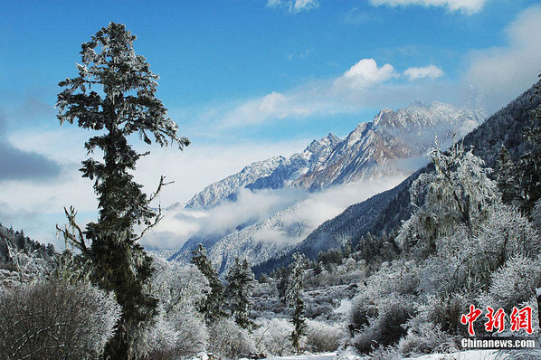 雪峰皑皑 四川毕棚沟赏神奇的冰情雪韵