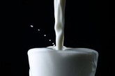 NO.9 失眠是因为缺钙

缺钙的恶果绝不仅仅是腿抽筋，健忘、走神、失眠也都是缺钙的副产物。因为充足的钙能抑制脑神经的异常兴奋，缺钙则会影响脑神经元的正常代谢。为大脑补钙的最佳食物是豆类食物，如黄豆、豆腐等，但豆奶的效果并不好，因为豆奶中含有的少量乳糖会影响钙在大脑神经元中的作用。

