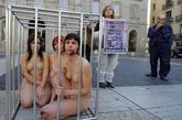 班牙巴塞罗那，帅哥美女裸体的动物保护者们在笼子里抗议宰杀动物，获取皮毛。