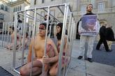 班牙巴塞罗那，帅哥美女裸体的动物保护者们在笼子里抗议宰杀动物，获取皮毛。