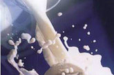 禁忌食物九：2岁以内婴儿不宜喂鲜牛奶

2岁以内婴儿不宜喂鲜牛奶和成人奶粉，如不能喂以母乳，应食用以母乳为依据、专为婴儿设计的配方奶粉，其中的唾液酸(SA)对婴幼儿脑力记忆发展至关重要。在最近举行的“SA与婴儿智力发育学术研讨会”上，中国营养学会妇幼分会主任荫士安先生这样提醒年轻的父母们。

