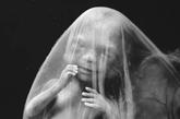 人体受孕过程实拍 揭秘精子发育成胎儿清晰照

