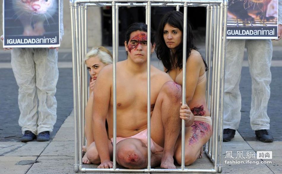 美女帅哥自囚笼中 抗议使用动物皮毛