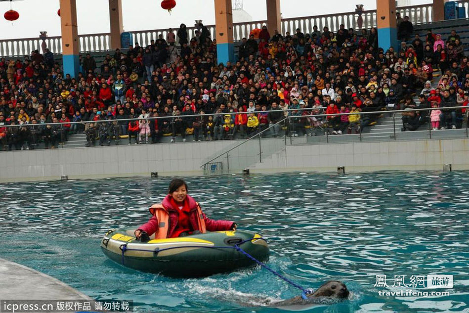 深圳海洋明星迎春送福 “海洋争霸赛”激情震撼