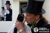 德国男子与濒死宠物猫举行婚礼

　　2010年5月，一名德国邮差和自己的宠物猫举行了婚礼，并称他是为了赶在这只患有气喘病的胖猫离世前与其共结连理。时年39岁的邮差米兹谢里奇告诉记者，时年15岁高龄的猫小姐西西莉亚是令人信赖的小东西，他们常常拥抱，总是睡在一张床上，彼此心心相印。因为无法给爱猫一个合法的婚礼，米兹谢里奇只好花300欧元请了一位电影演员担任主婚人，让双胞胎弟弟证婚。婚礼上，米兹谢里奇和猫小姐都身穿结婚礼服。宣读结婚誓词时，披着洁白婚纱的西西莉亚还大声的“喵”了一声，表达了它的意愿。

