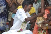 印度一男子为赎罪娶母狗为妻

　　2007年11月12日，印度一名男子根据传统的印度人结婚仪式，正式与一条母流浪狗喜结连理。据悉，他是为了赎罪而和母狗结婚的。先前，他曾用石头打死了2条狗，之后他一直生病不止，饱受磨难和痛苦。

