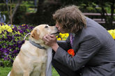 澳一男子办婚礼 上演“人狗情未了”

　　2010年12月，一位澳大利亚男子“Joseph Guiso”和他收养五年的一只拉布拉多犬“Honey”在澳大利亚图文巴的劳雷尔公园举行了婚礼。这对“新人”的30位亲戚和朋友也参加了这一“让人感动”的婚礼仪式。

