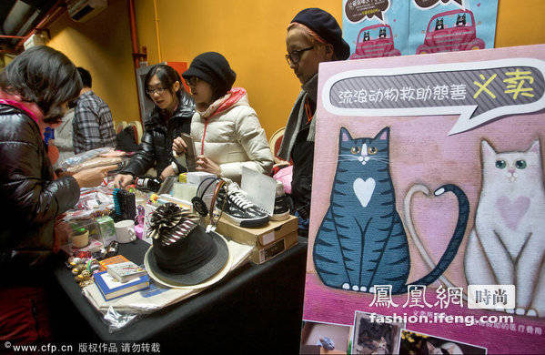 第四届北京领养日举办 100多只宠物“求包养”