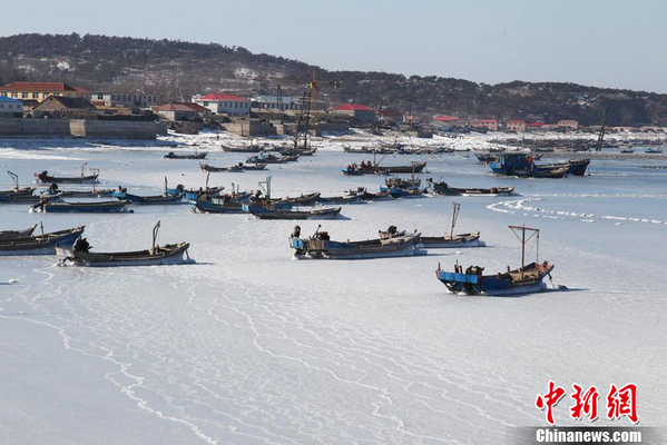 大连海域现海冰景观 渔船被冰封破冰前行