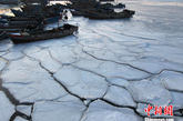 2012年2月5日，持续低温，大连庄河市至海王九岛一带海域出现大面积冰冻景观。根据国家海洋预报台介绍，近日渤黄海海冰覆盖总面积已达到36637平方公里，黄海北部浮冰最大外缘线23海里，一般冰厚5-15厘米，最大冰厚30厘米，海冰覆盖面积为8009平方公里。