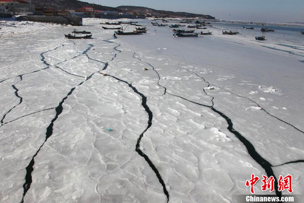 大连海域现海冰景观 渔船被冰封破冰前行