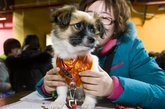 2012年02月05日，第四届北京领养日在张自忠路一酒吧举办。本届领养日有100多只宠物“求包养”，吸引了大批爱心市民前来登记认养。现场同时举办流浪动物慈善救助义卖活动。
