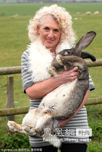 英国复活节巨兔重逾20公斤 超级萌