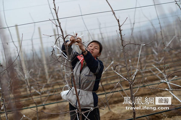 摄影师探秘朝鲜制造果汁过程