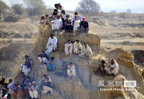 巴基斯坦残忍斗狗比赛 场面血腥惊险万分