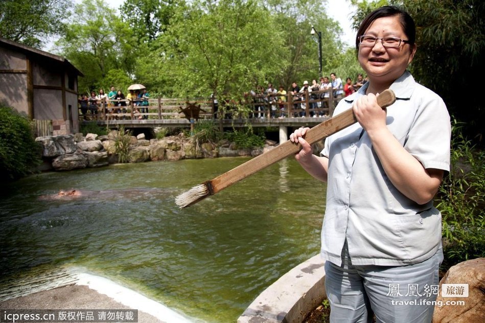 上海动物园定期上演河马刷牙