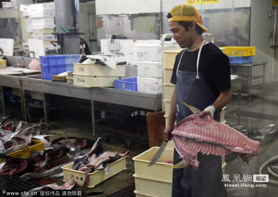 探访日本鲜鱼市场  金枪鱼分解全程