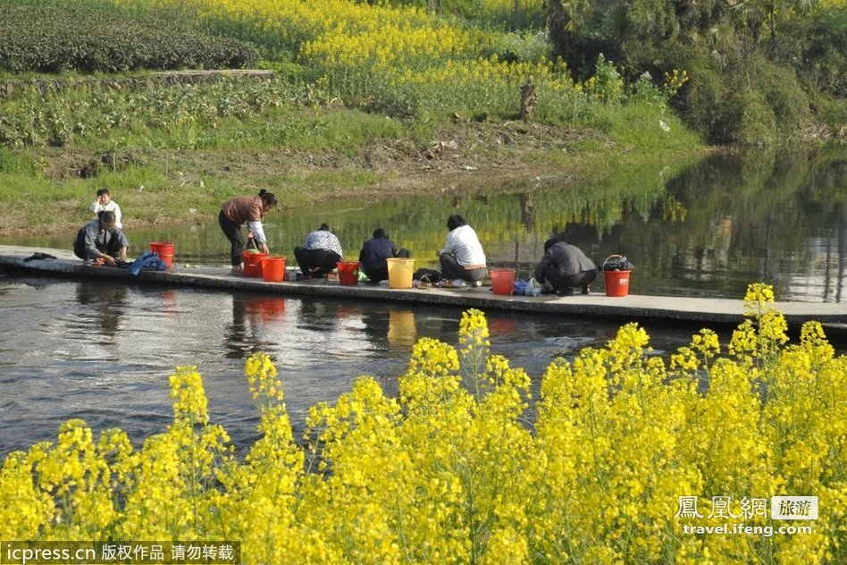 婺源：油菜花光环下源于明代的“天龙塔”