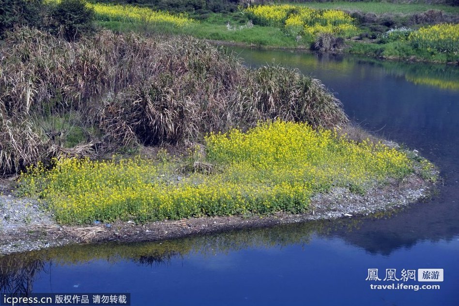 婺源：油菜花光环下源于明代的“天龙塔”