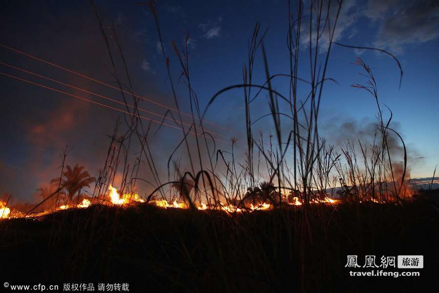 亚马逊纪实第一季：世界最大热带雨林被滥伐炼钢造车