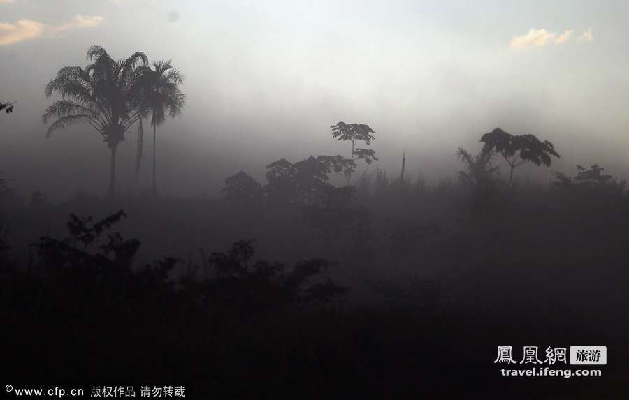 亚马逊纪实第一季：世界最大热带雨林被滥伐炼钢造车