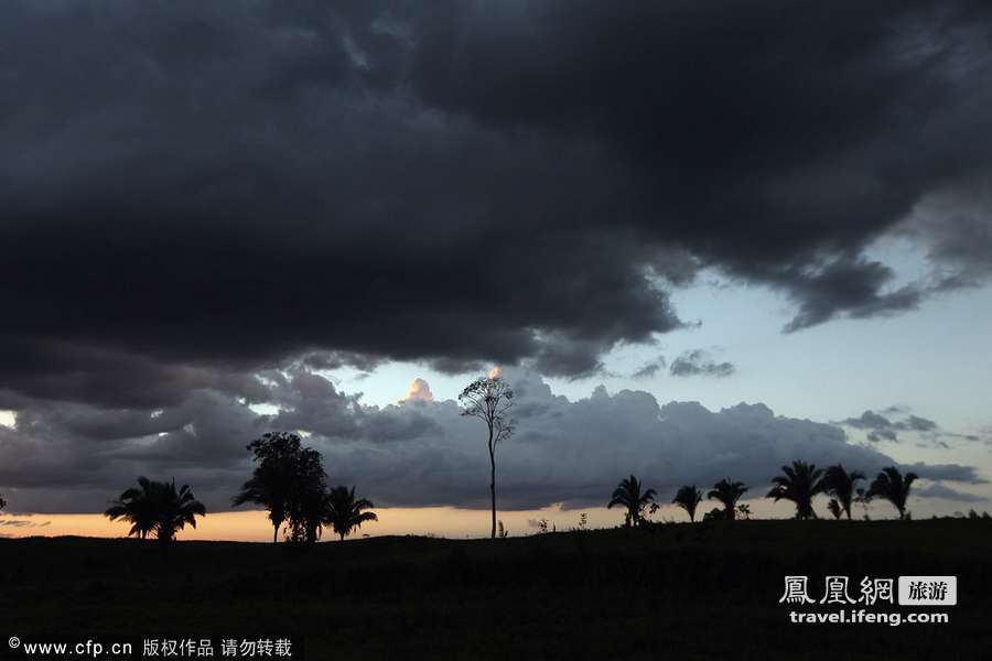 亚马逊纪实第一季：世界最大热带雨林被滥伐炼钢造车