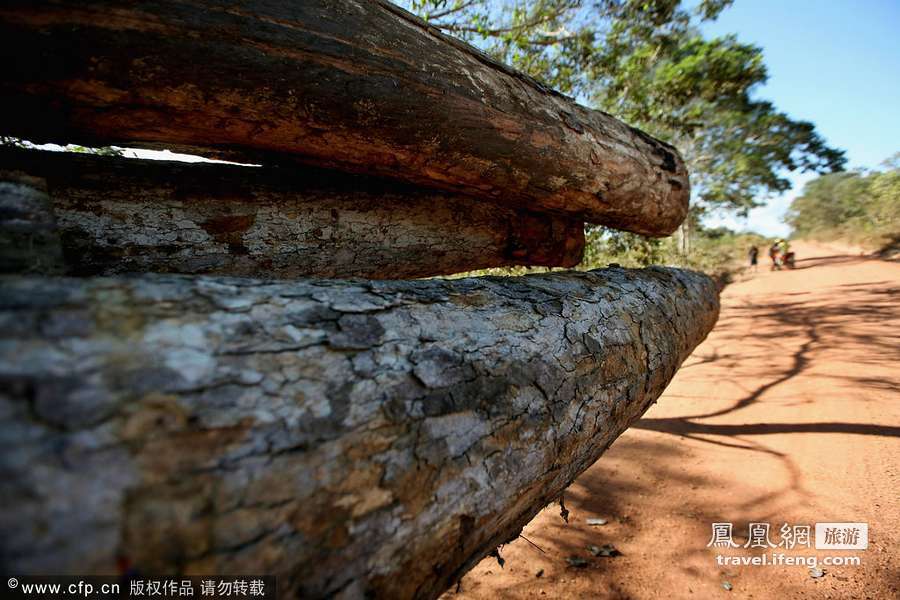 亚马逊纪实第一季：世界最大热带雨林被滥伐炼钢造车