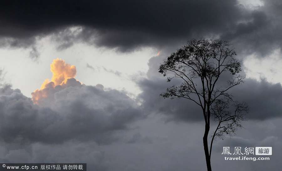 亚马逊纪实第一季：世界最大热带雨林被滥伐炼钢造车