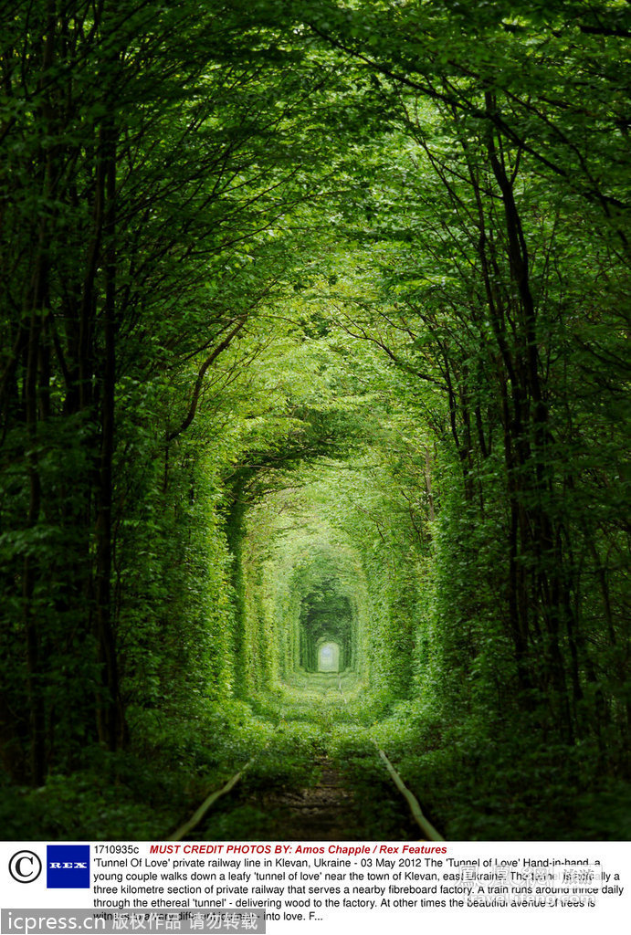 乌克兰“爱情隧道” 美得让人怦然心动 