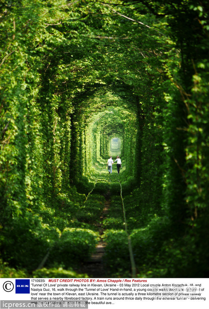 乌克兰“爱情隧道” 美得让人怦然心动 