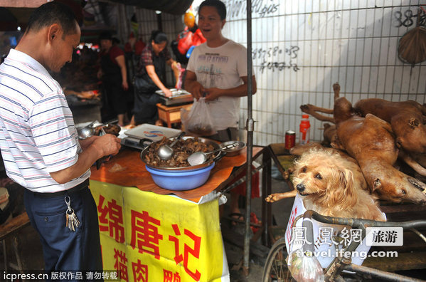 广西玉林“荔枝狗肉节”现场遭抵制