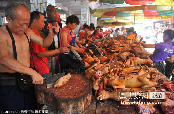 广西玉林“荔枝狗肉节”现场遭抵制