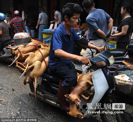 广西玉林“荔枝狗肉节”现场遭抵制