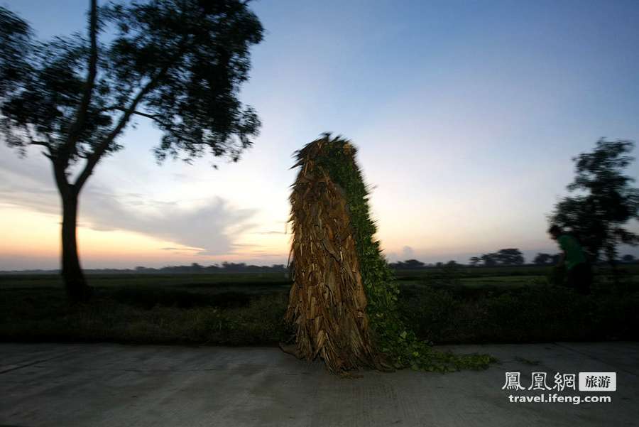 菲律宾“泥人”披香蕉叶庆祝圣约翰节 