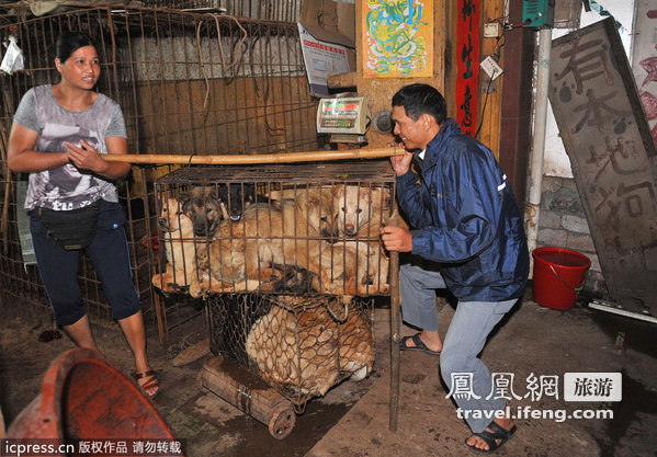 广西玉林“荔枝狗肉节”现场遭抵制