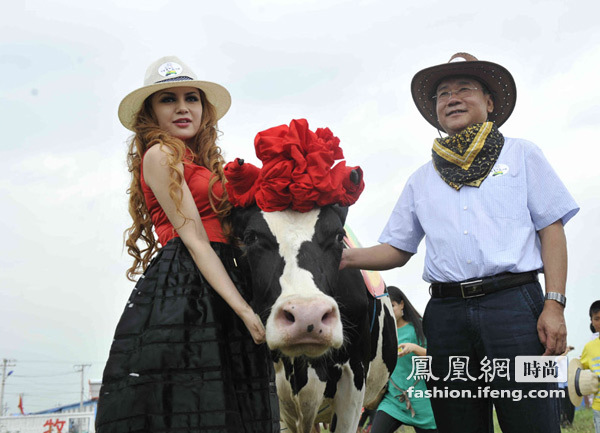 首届奶牛选美赛 90后美女比基尼装扮甘做“牛模特”
