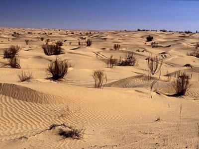 北纬30°未解之谜 撒哈拉沙漠(组图)