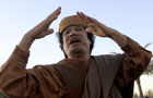 卡扎菲率领阿拉伯人从西方世界夺回石油