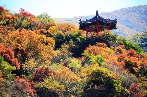 十,西线西山国家森林公园景区