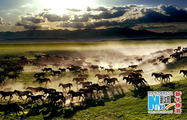 2013中国新疆伊犁天马国际旅游节将于7月开幕