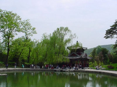 春天还是登山的好季节,初春的香山公园,绿地内的小草渐绿,玉兰花含苞