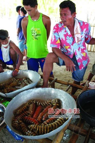 明岛海鲜打折卡_宿务岛海鲜_南海填海造岛最新图