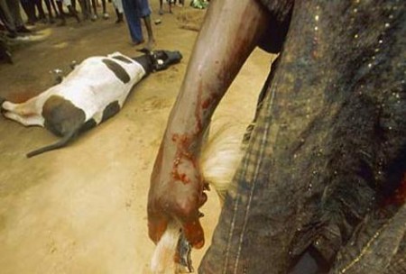 乌干达:杀小孩取生殖器祭祀